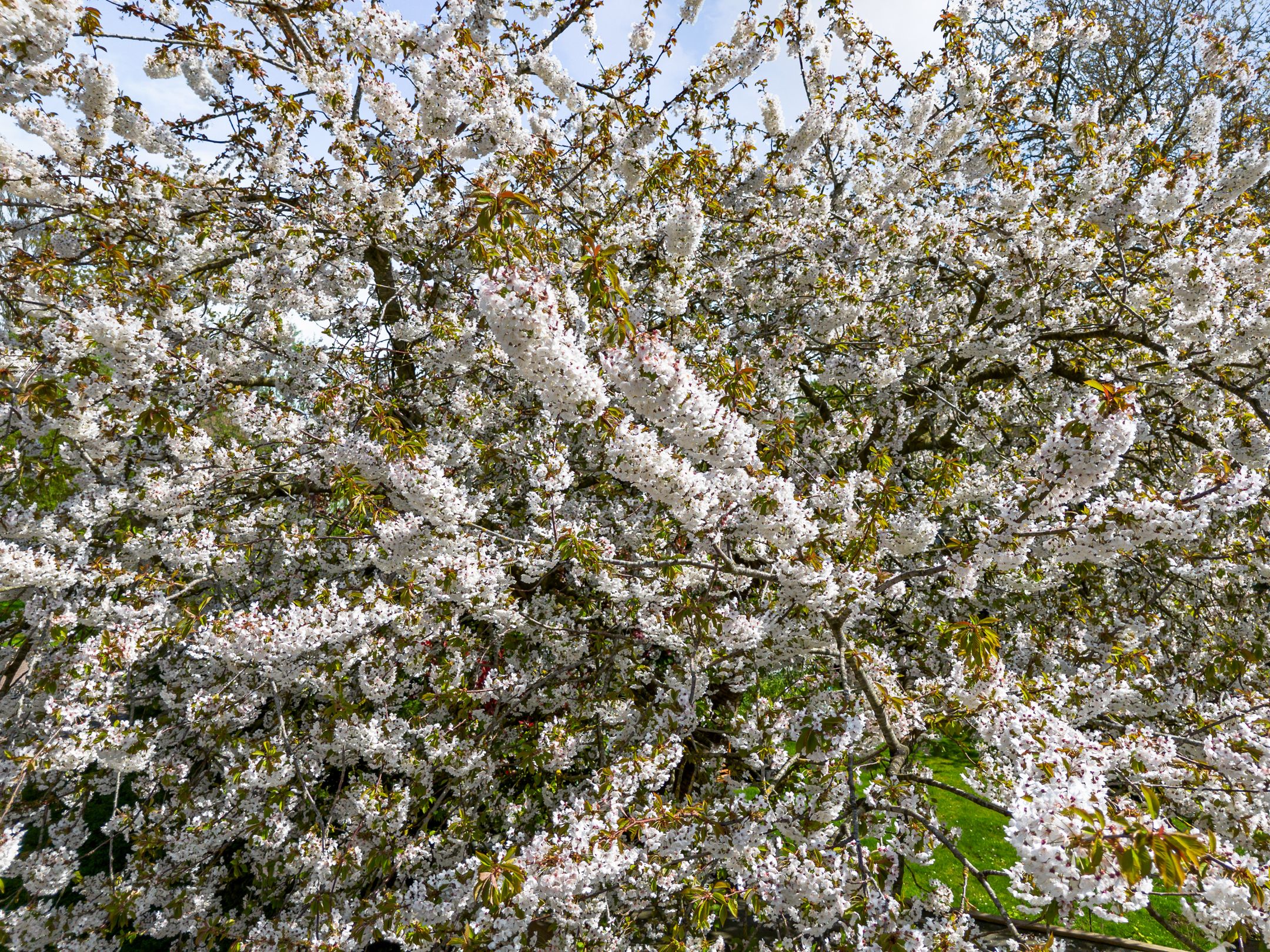 Foto 42 van Pieter Wariuslaan 112