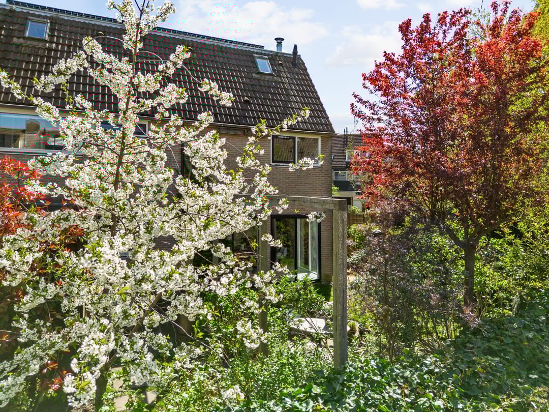 Foto 41 van Pieter Wariuslaan 112