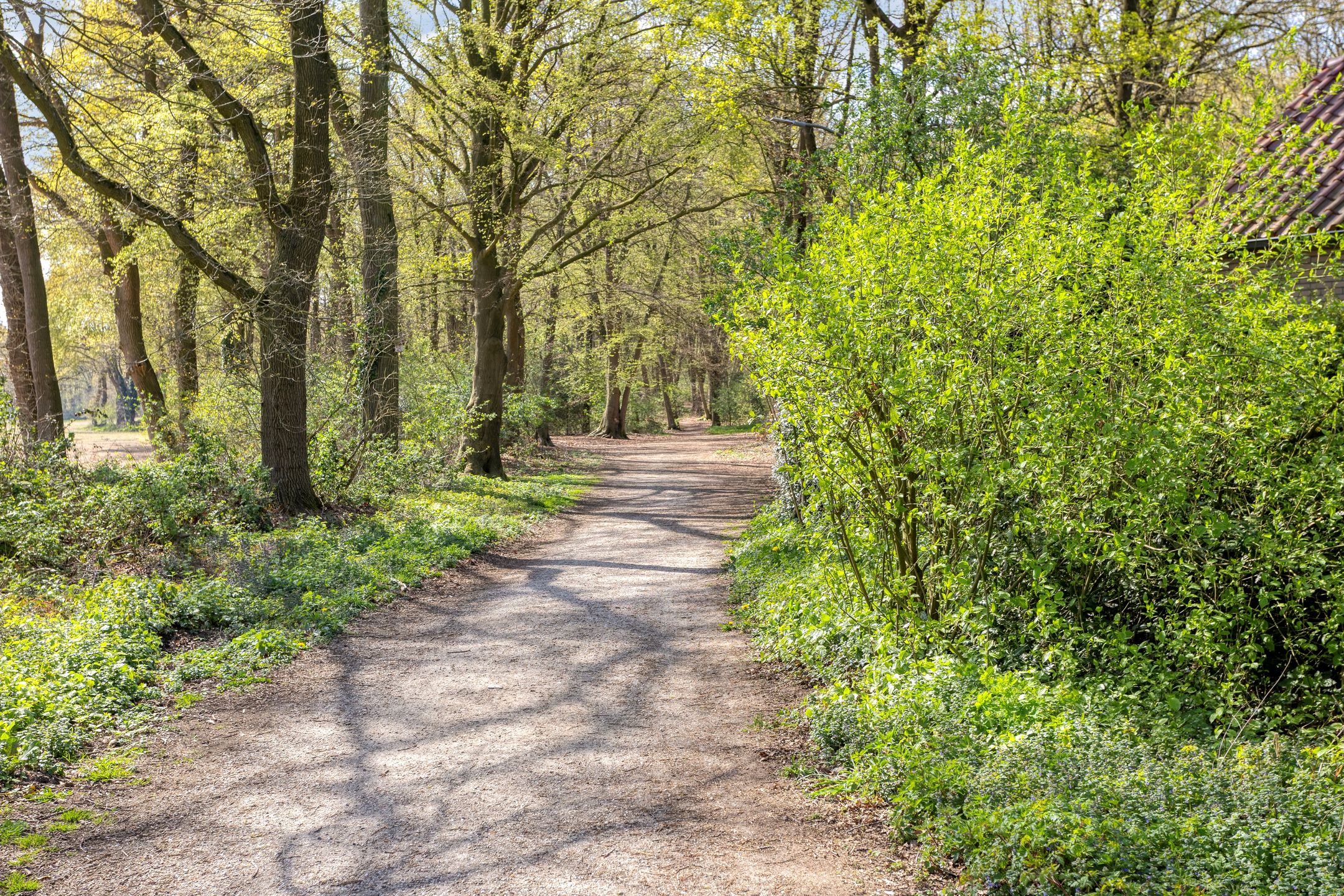 Foto 60 van Nieuwe Veenendaalseweg 175
