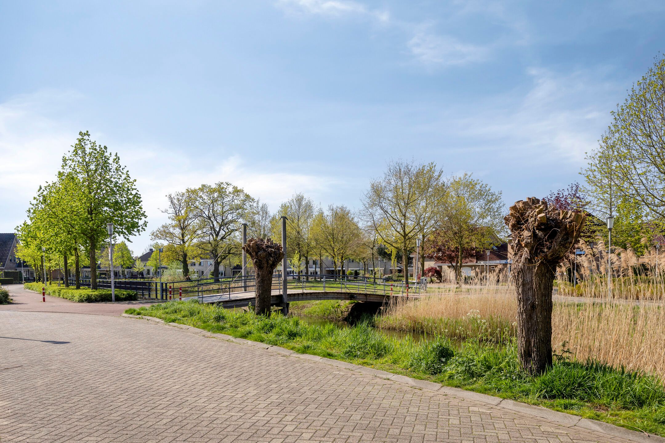 Foto 42 van Madelief 21