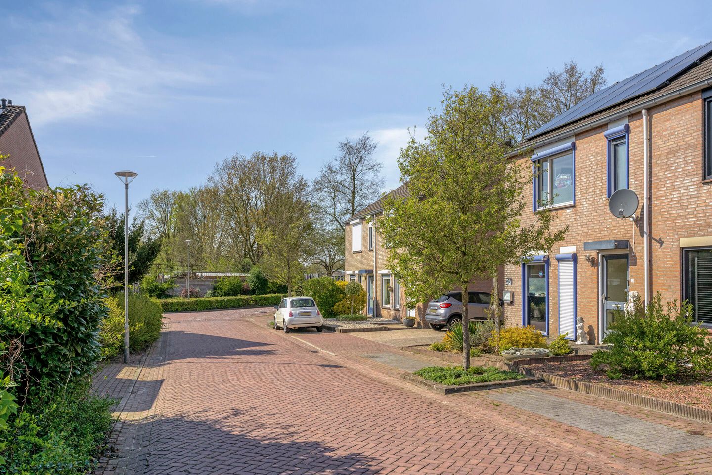 Foto 10 van Hermelijnsingel 5