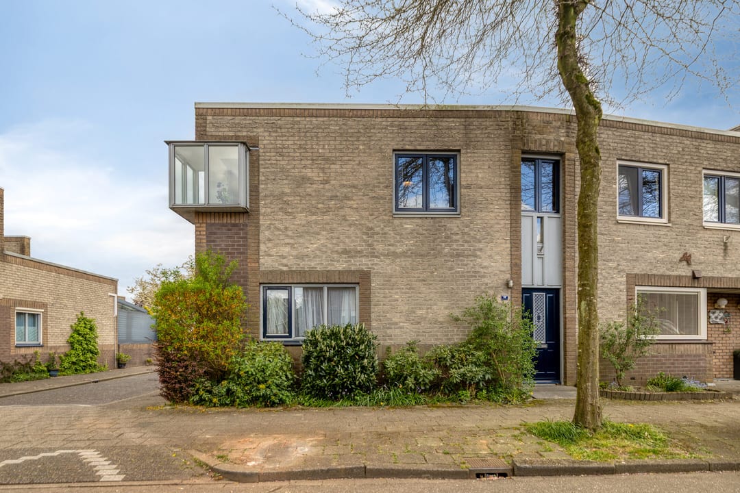 Foto 2 van Atlasvlinder 36