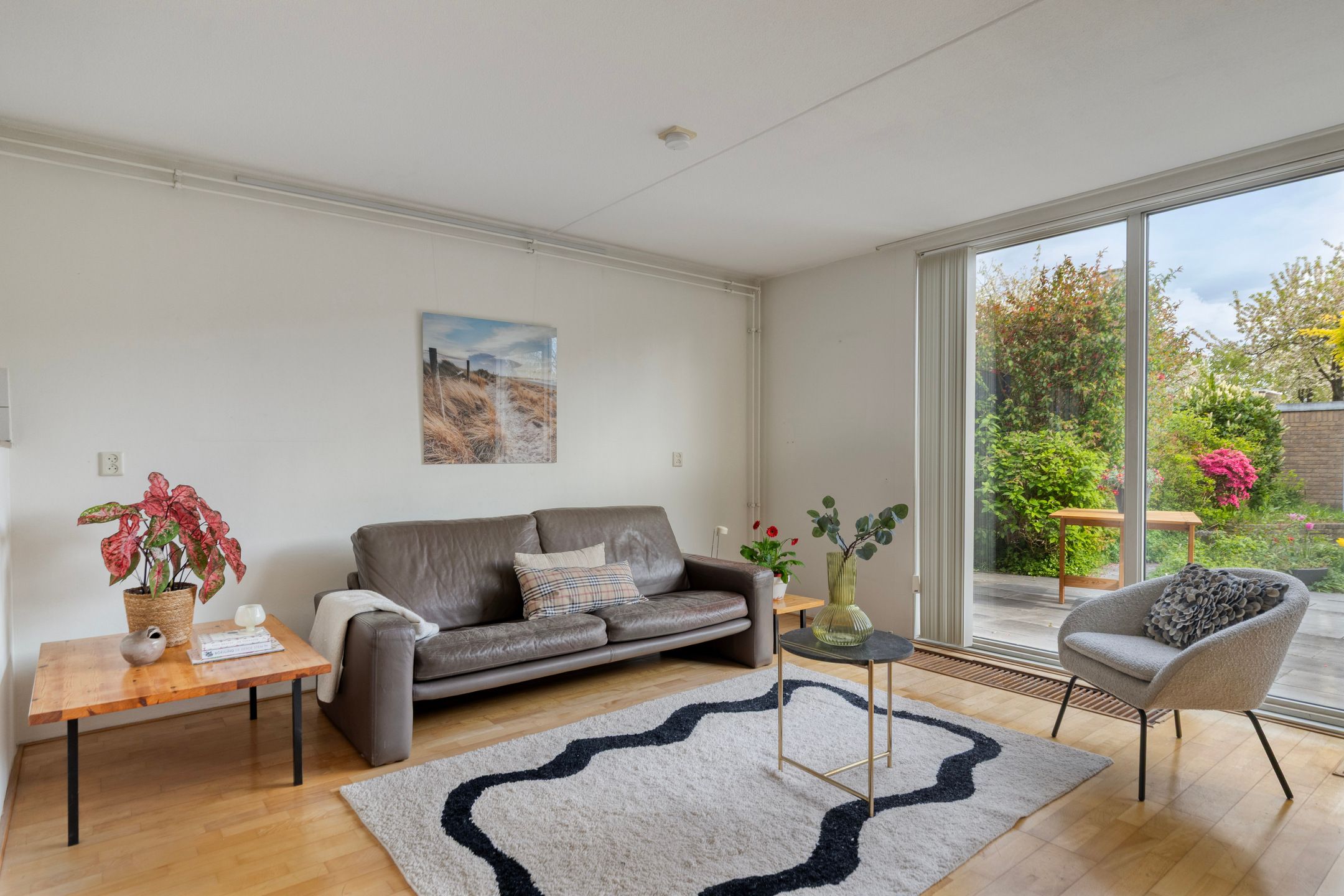 Foto 6 van Atlasvlinder 36