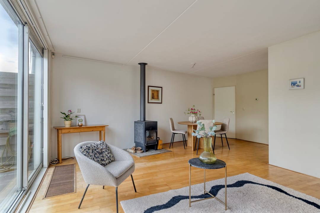 Foto 7 van Atlasvlinder 36