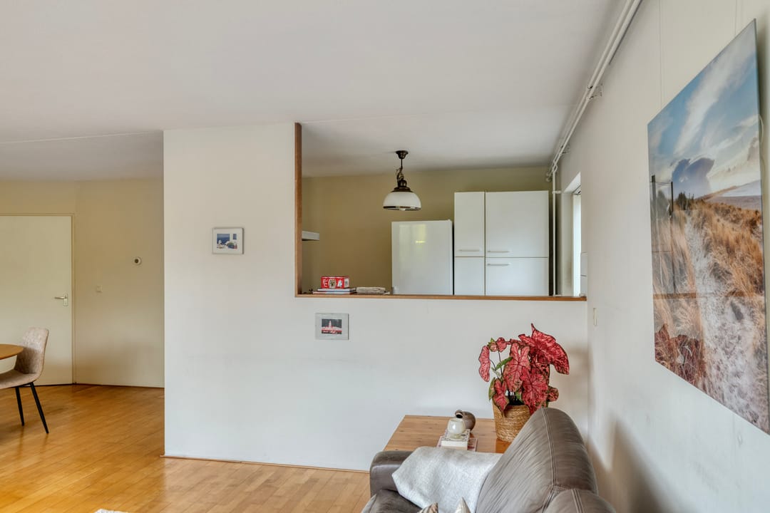 Foto 8 van Atlasvlinder 36