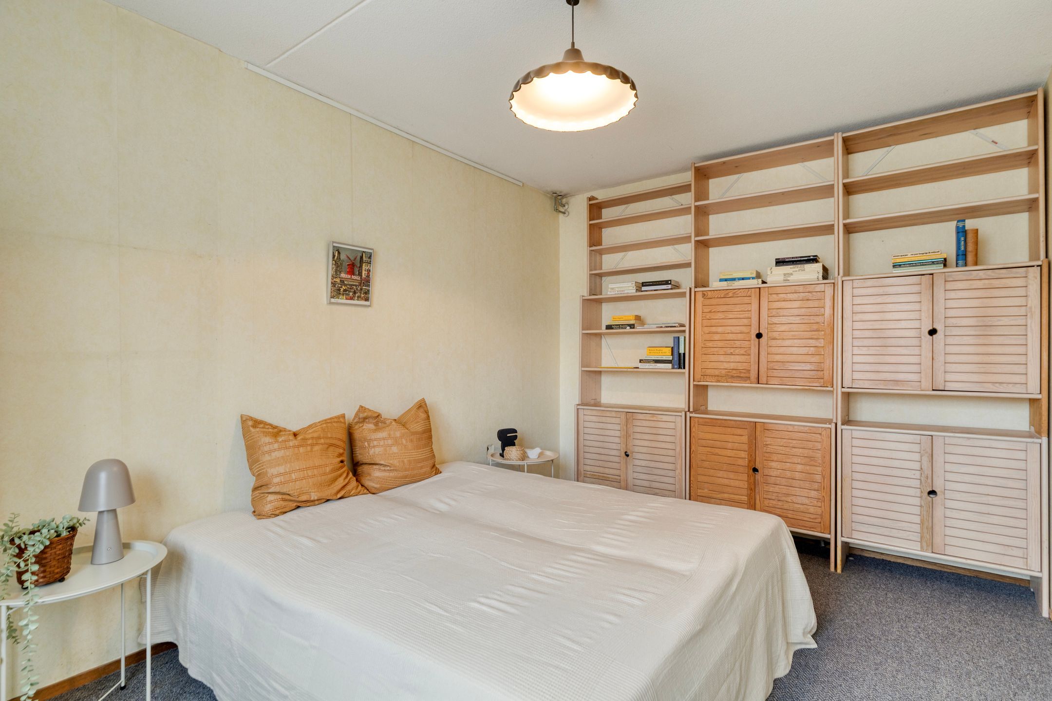 Foto 18 van Atlasvlinder 36