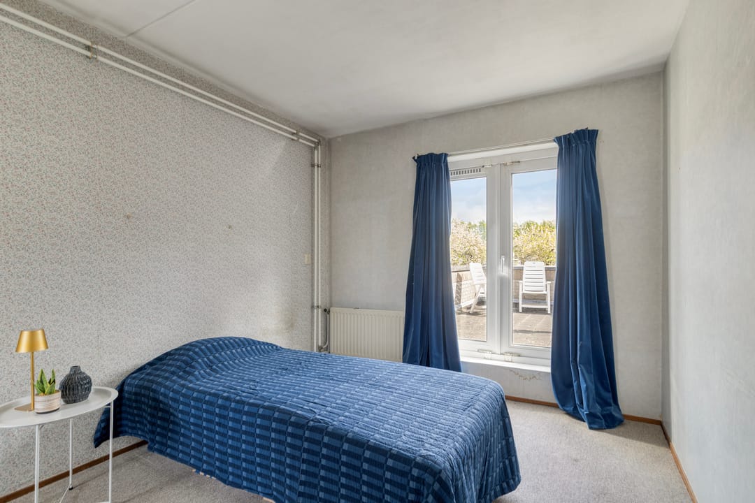 Foto 23 van Atlasvlinder 36