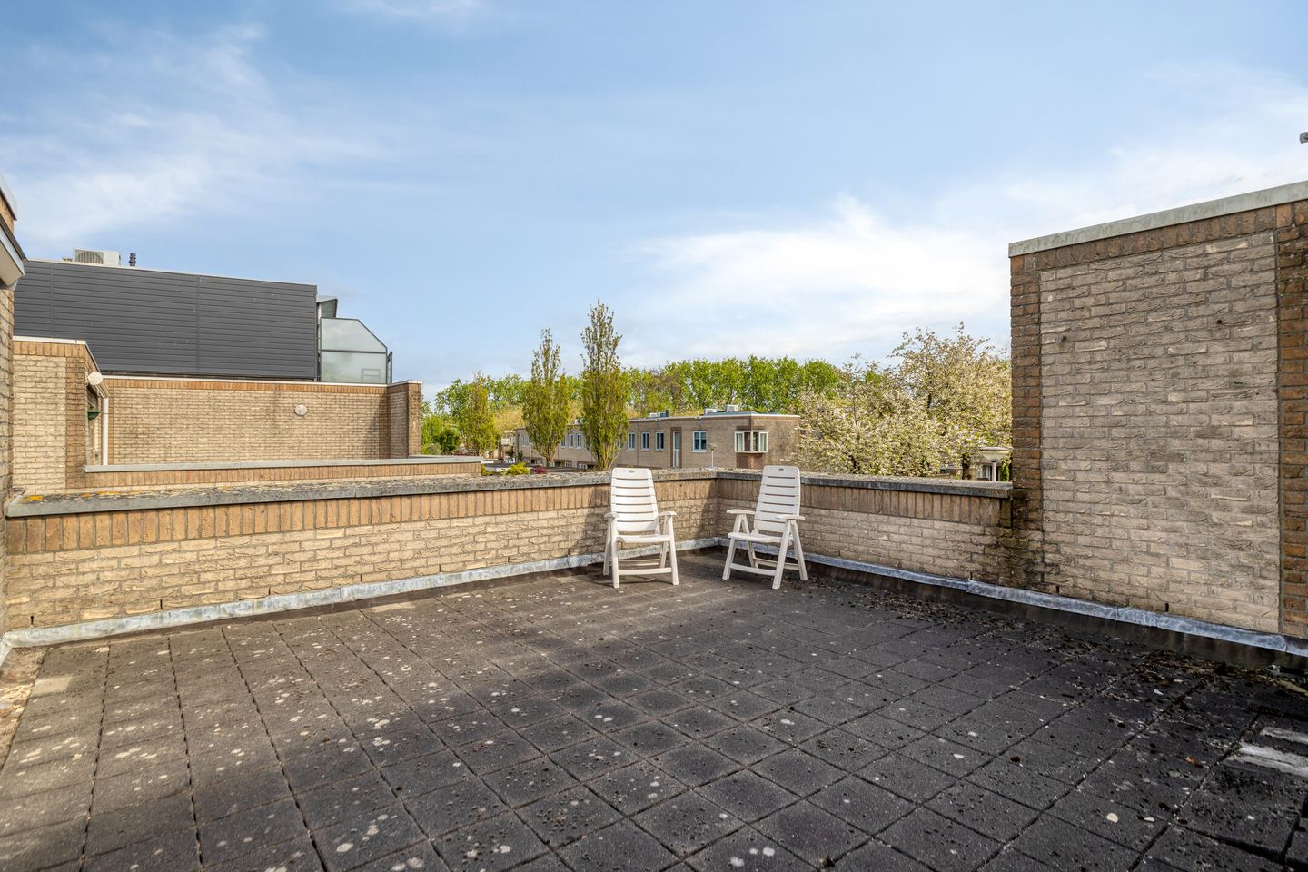 Foto 25 van Atlasvlinder 36