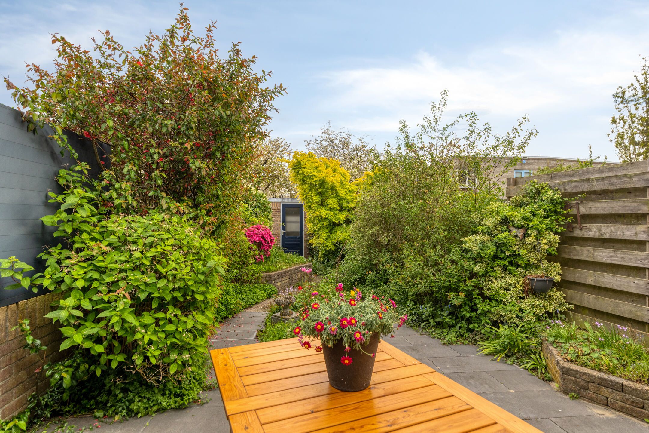 Foto 30 van Atlasvlinder 36