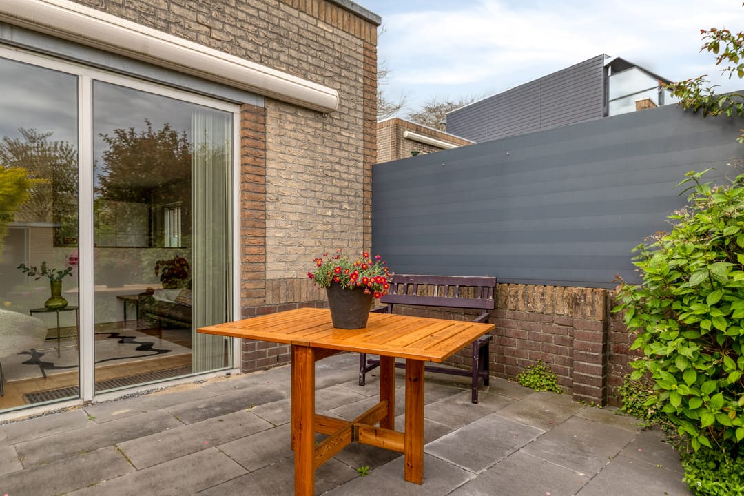 Foto 31 van Atlasvlinder 36