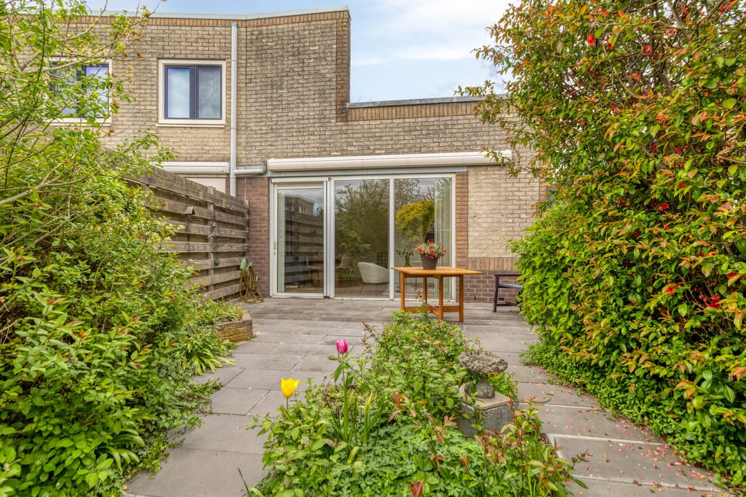 Foto 32 van Atlasvlinder 36