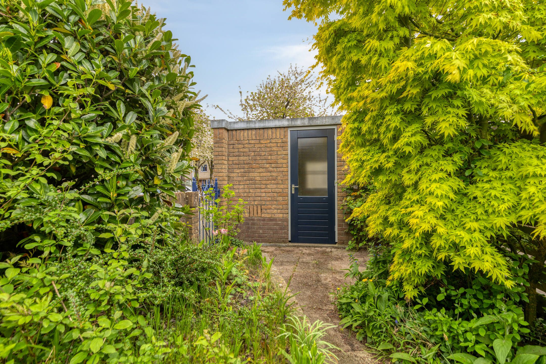 Foto 33 van Atlasvlinder 36