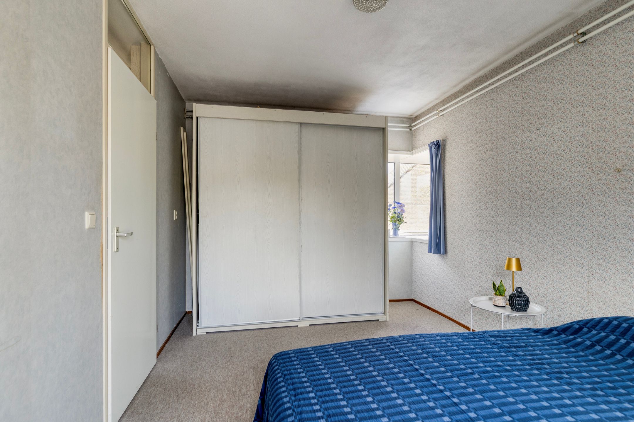 Foto 24 van Atlasvlinder 36