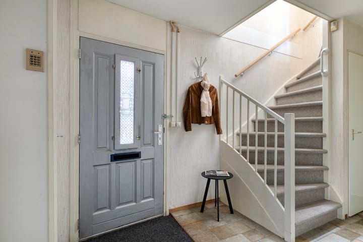 Foto 4 van Atlasvlinder 36