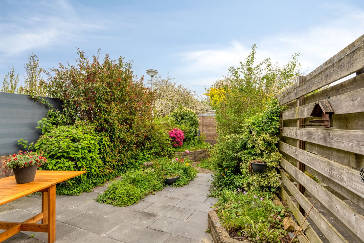 Foto 29 van Atlasvlinder 36