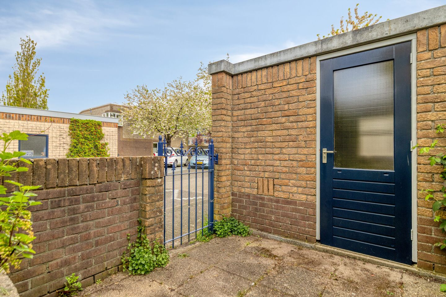 Foto 34 van Atlasvlinder 36