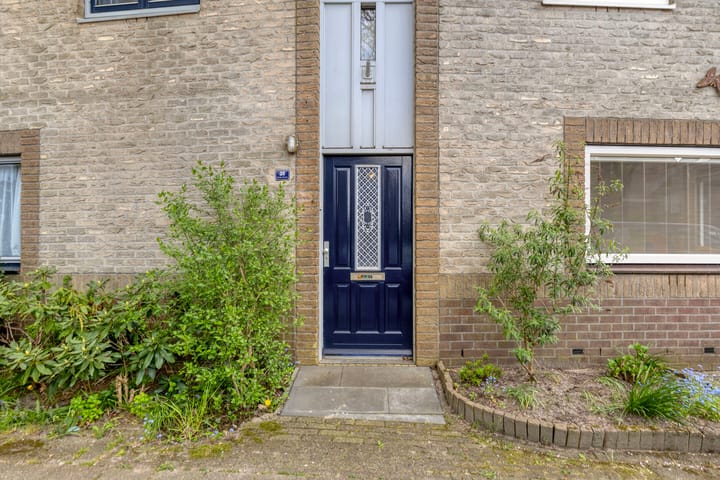 Foto 3 van Atlasvlinder 36