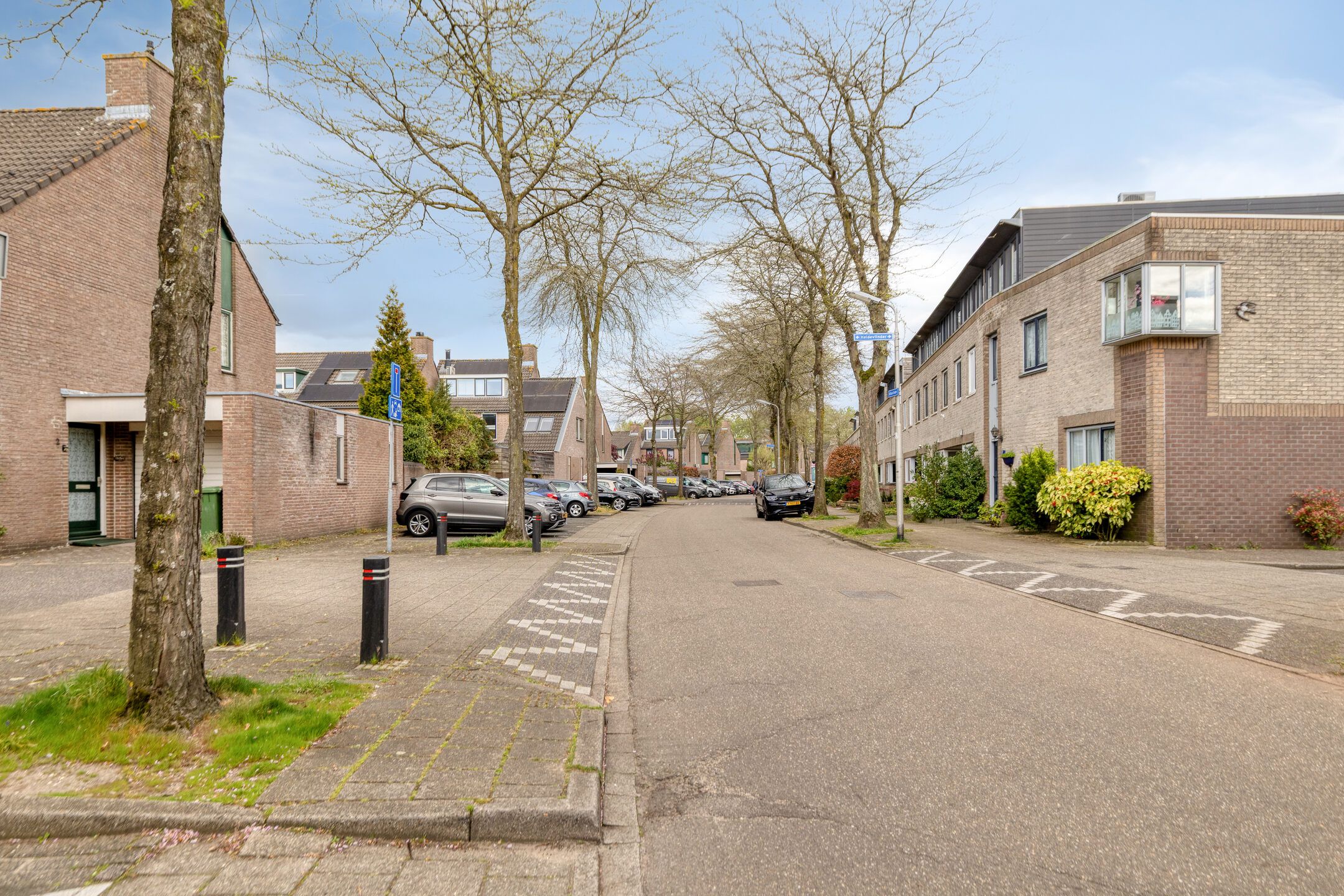 Foto 39 van Atlasvlinder 36