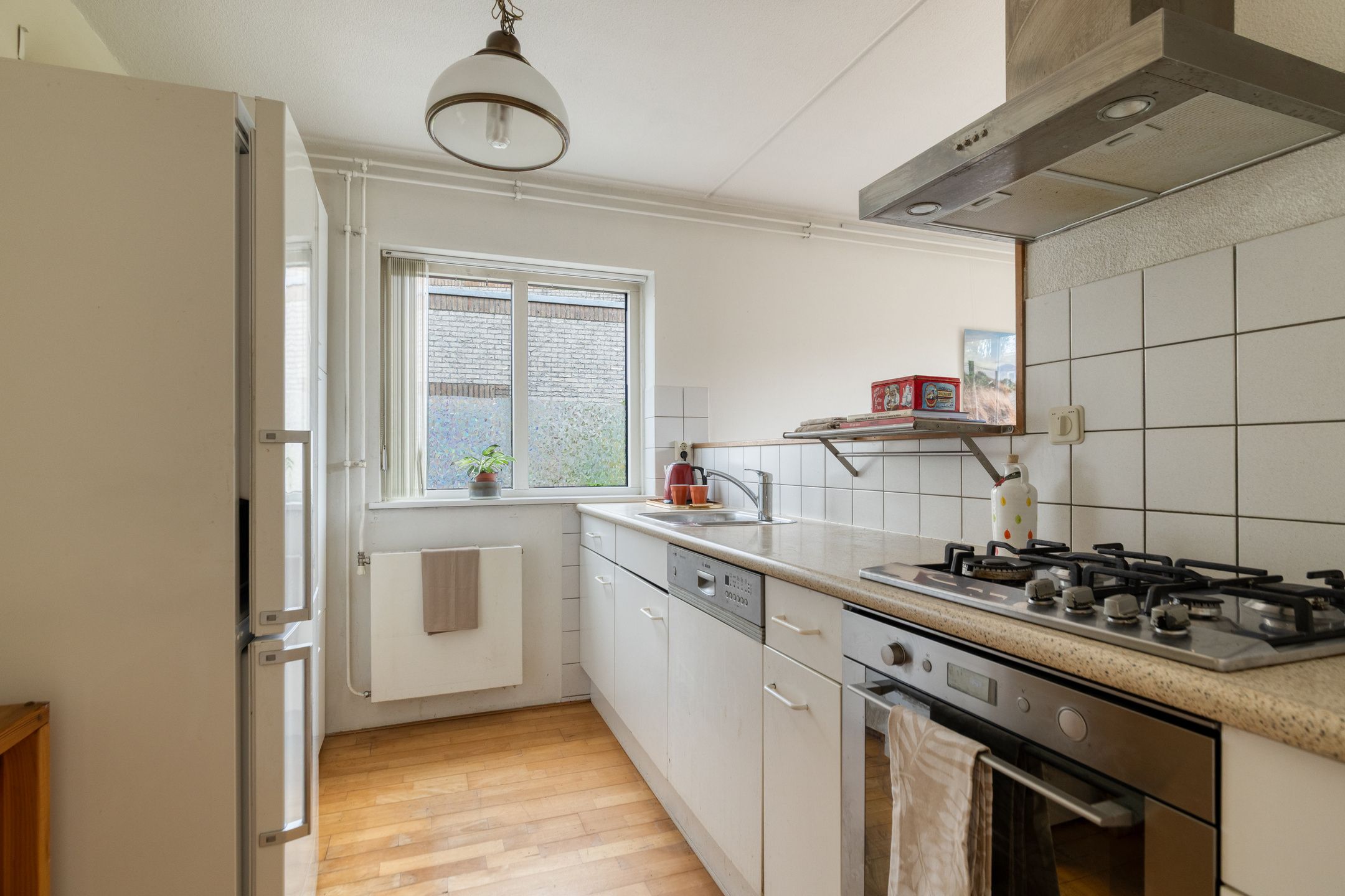 Foto 12 van Atlasvlinder 36