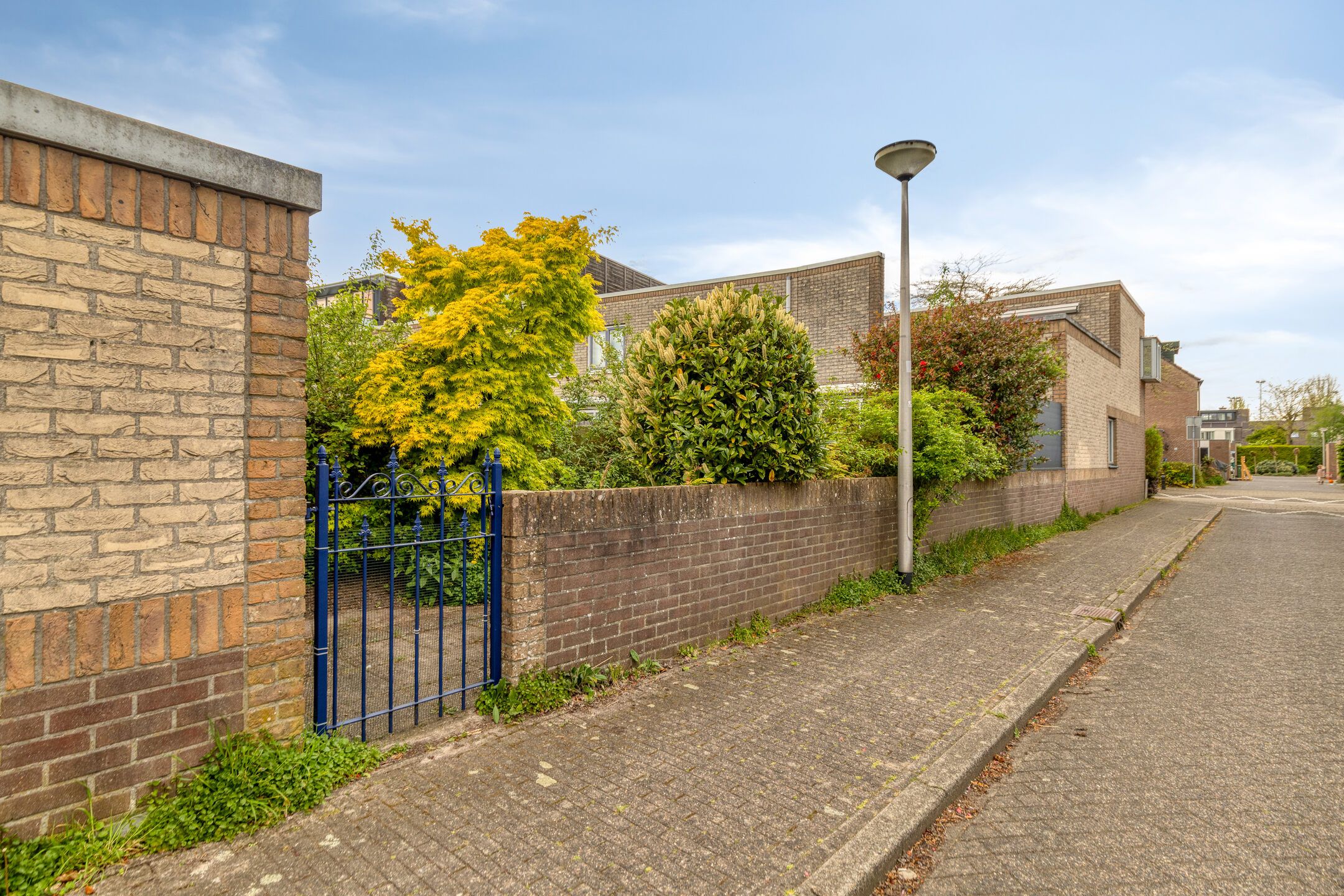 Foto 36 van Atlasvlinder 36