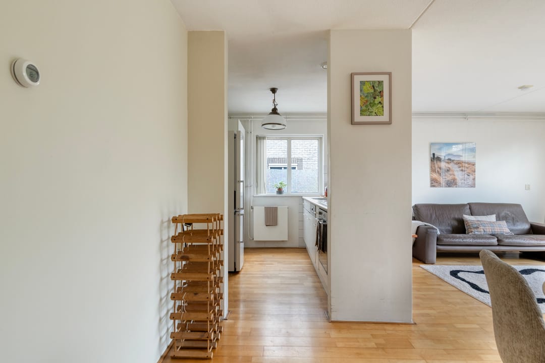 Foto 11 van Atlasvlinder 36