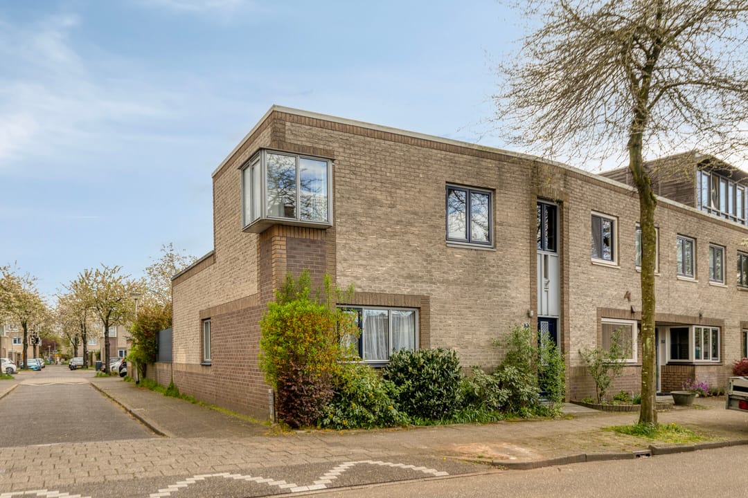 Foto 1 van Atlasvlinder 36