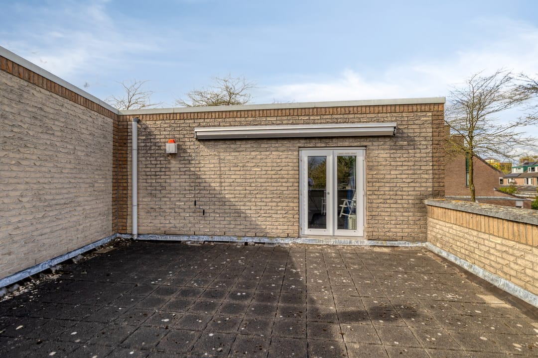 Foto 26 van Atlasvlinder 36