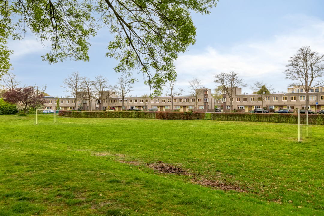 Foto 38 van Atlasvlinder 36