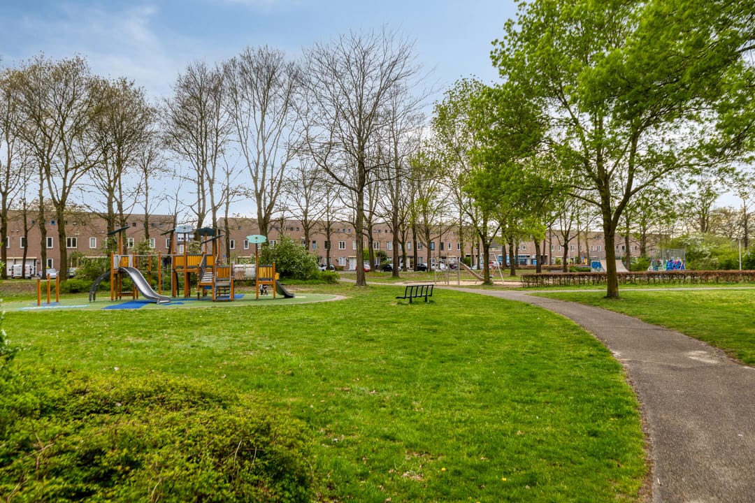 Foto 37 van Atlasvlinder 36