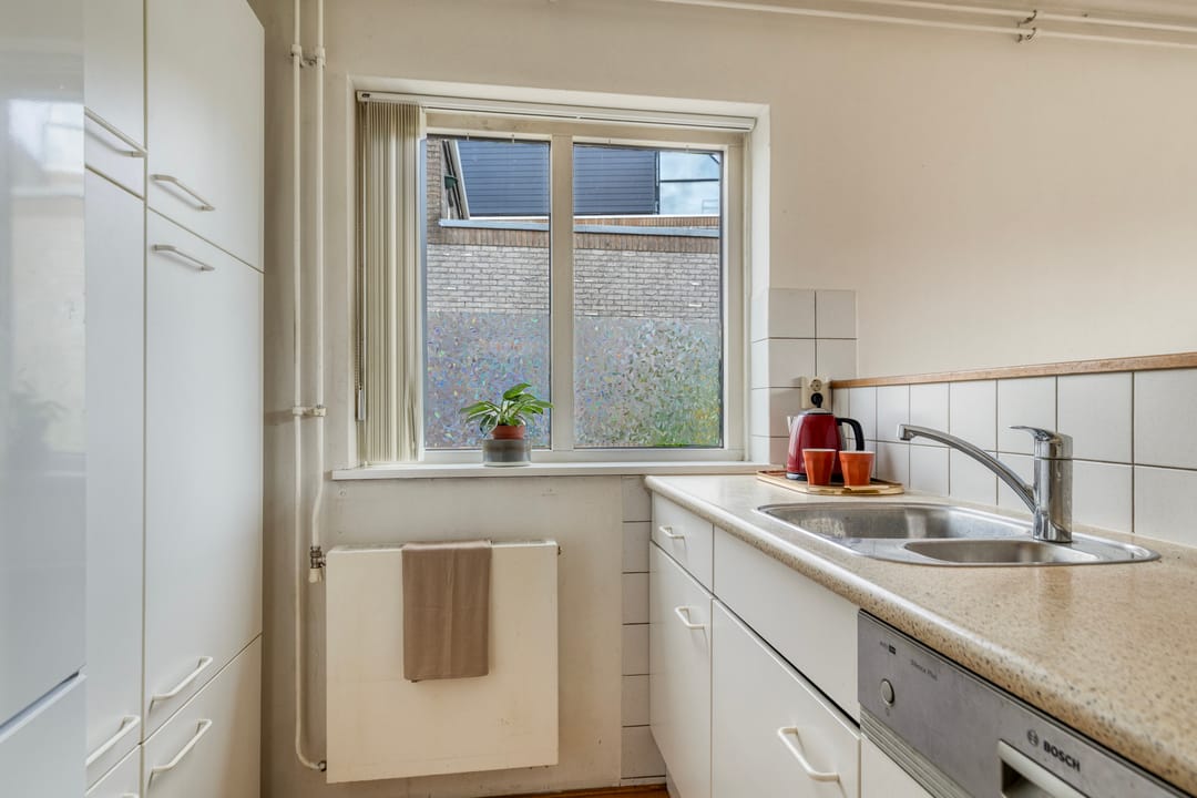 Foto 13 van Atlasvlinder 36