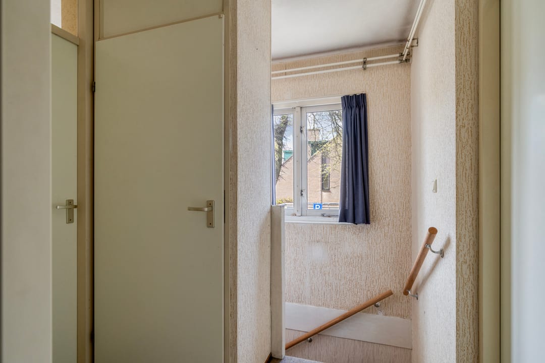 Foto 22 van Atlasvlinder 36