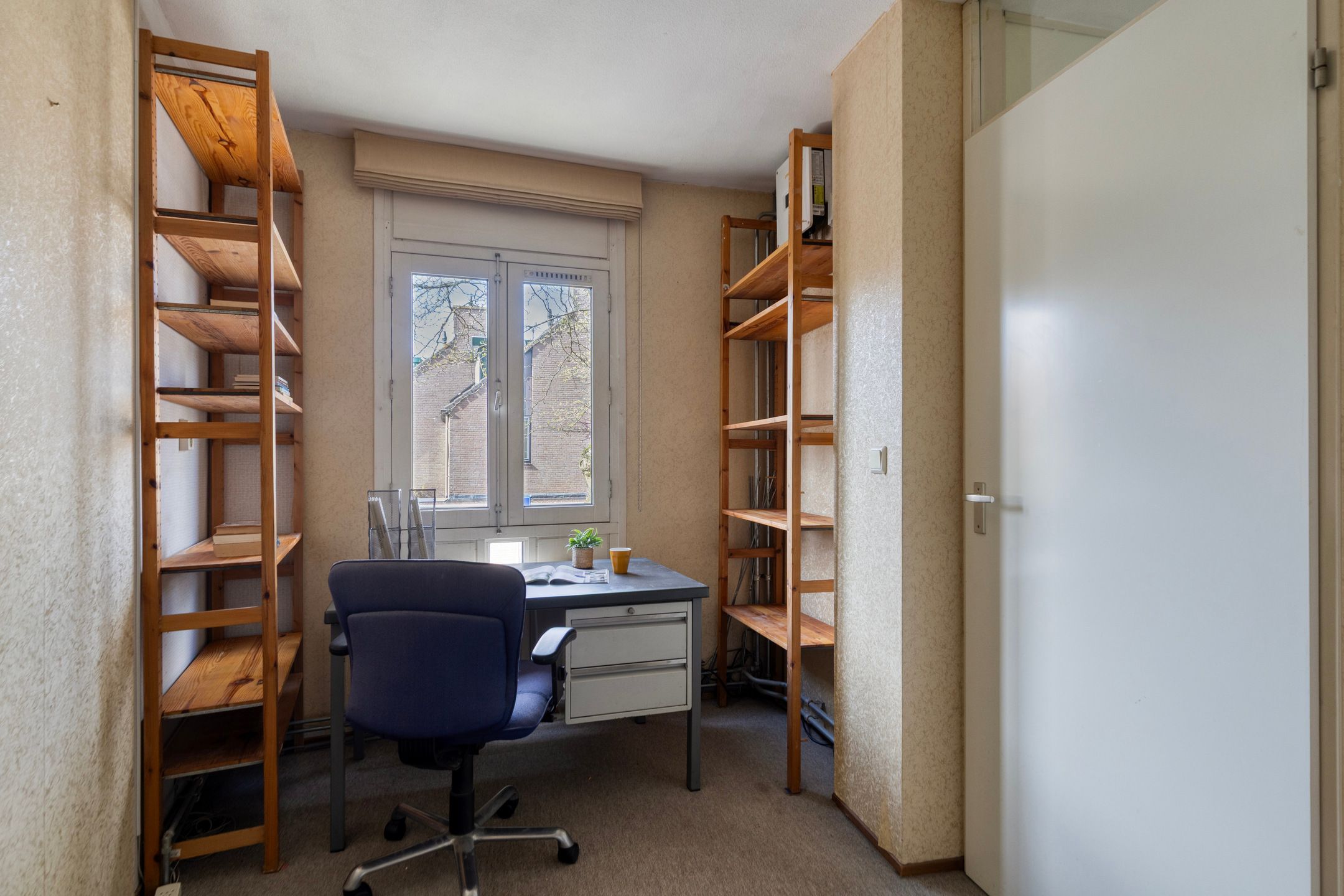 Foto 27 van Atlasvlinder 36