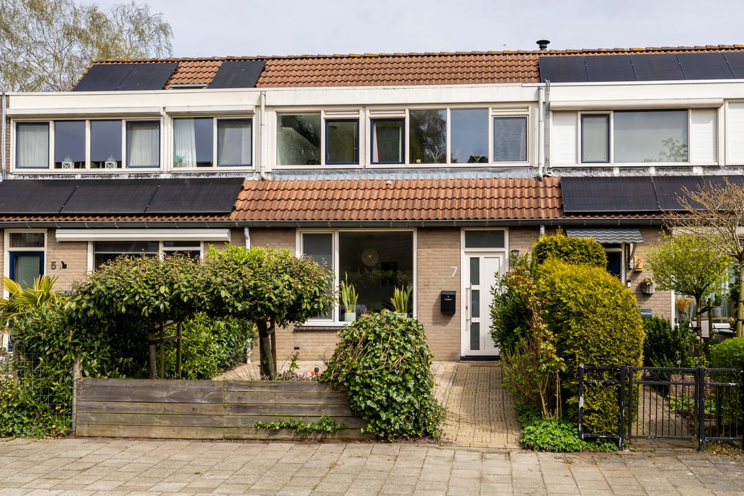 Foto 7 van Jongamastate 7