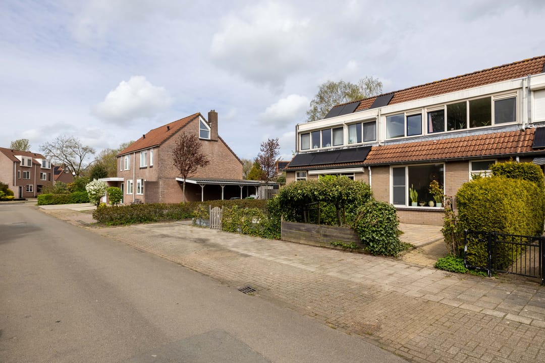 Foto 8 van Jongamastate 7