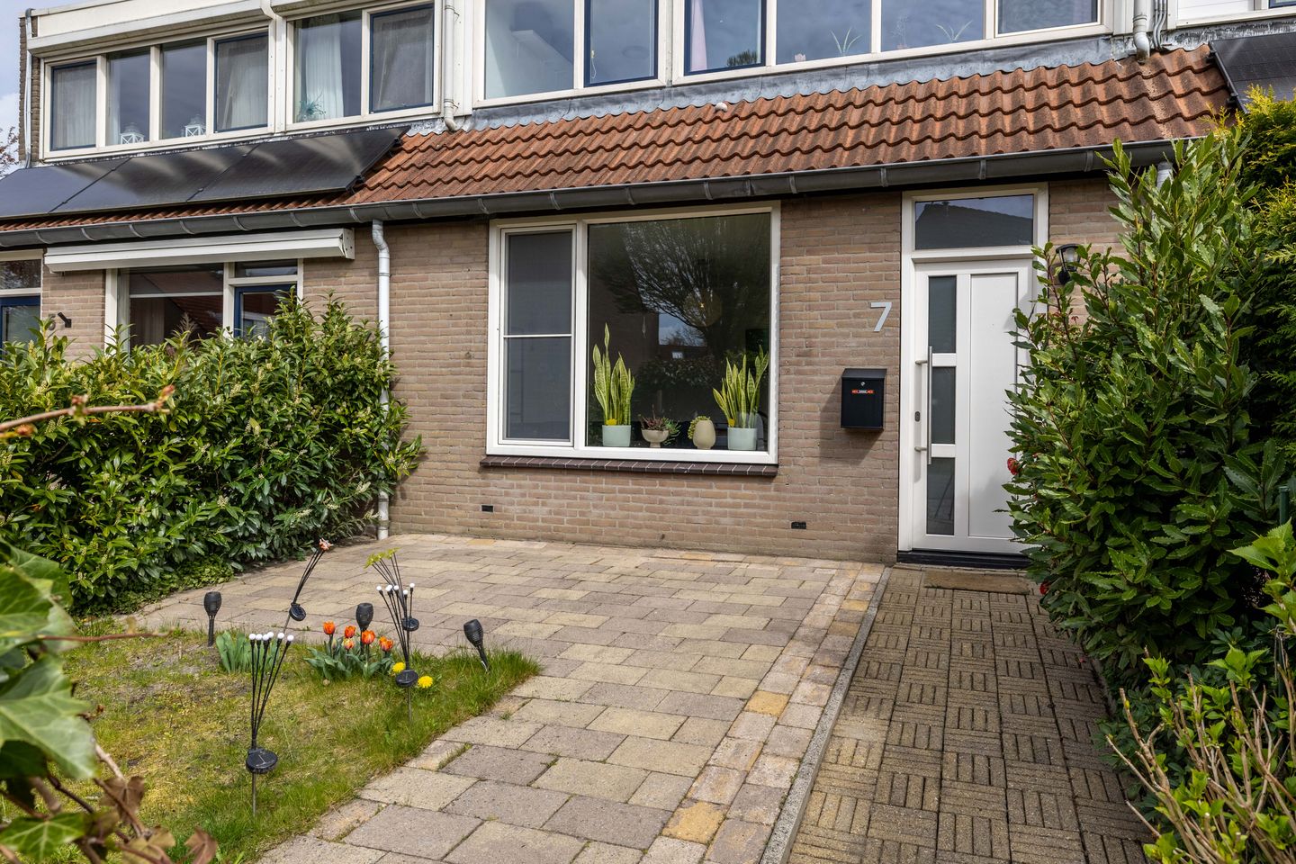 Foto 10 van Jongamastate 7