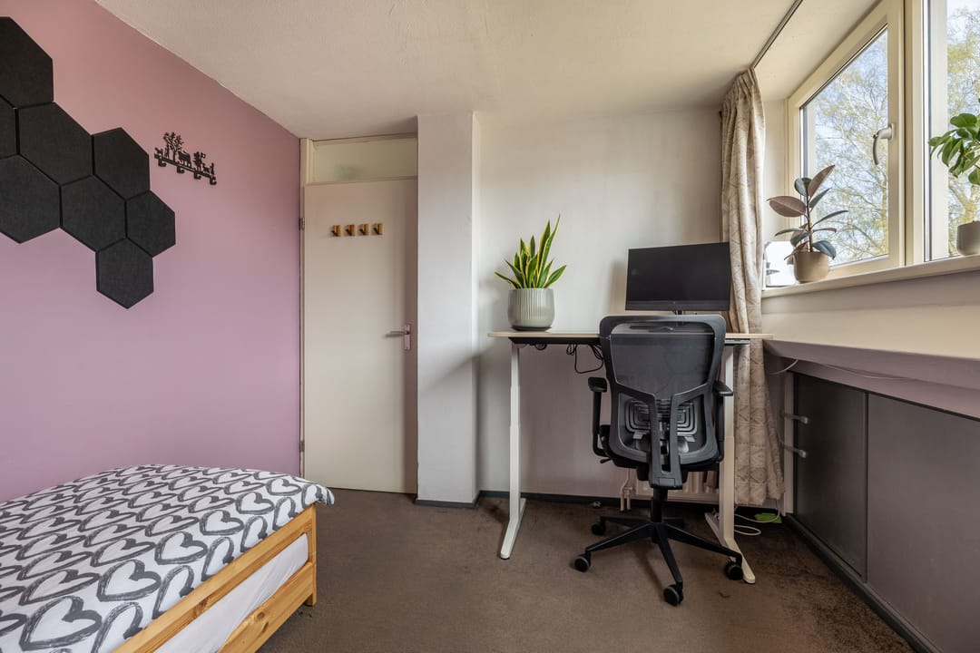 Foto 38 van Jongamastate 7