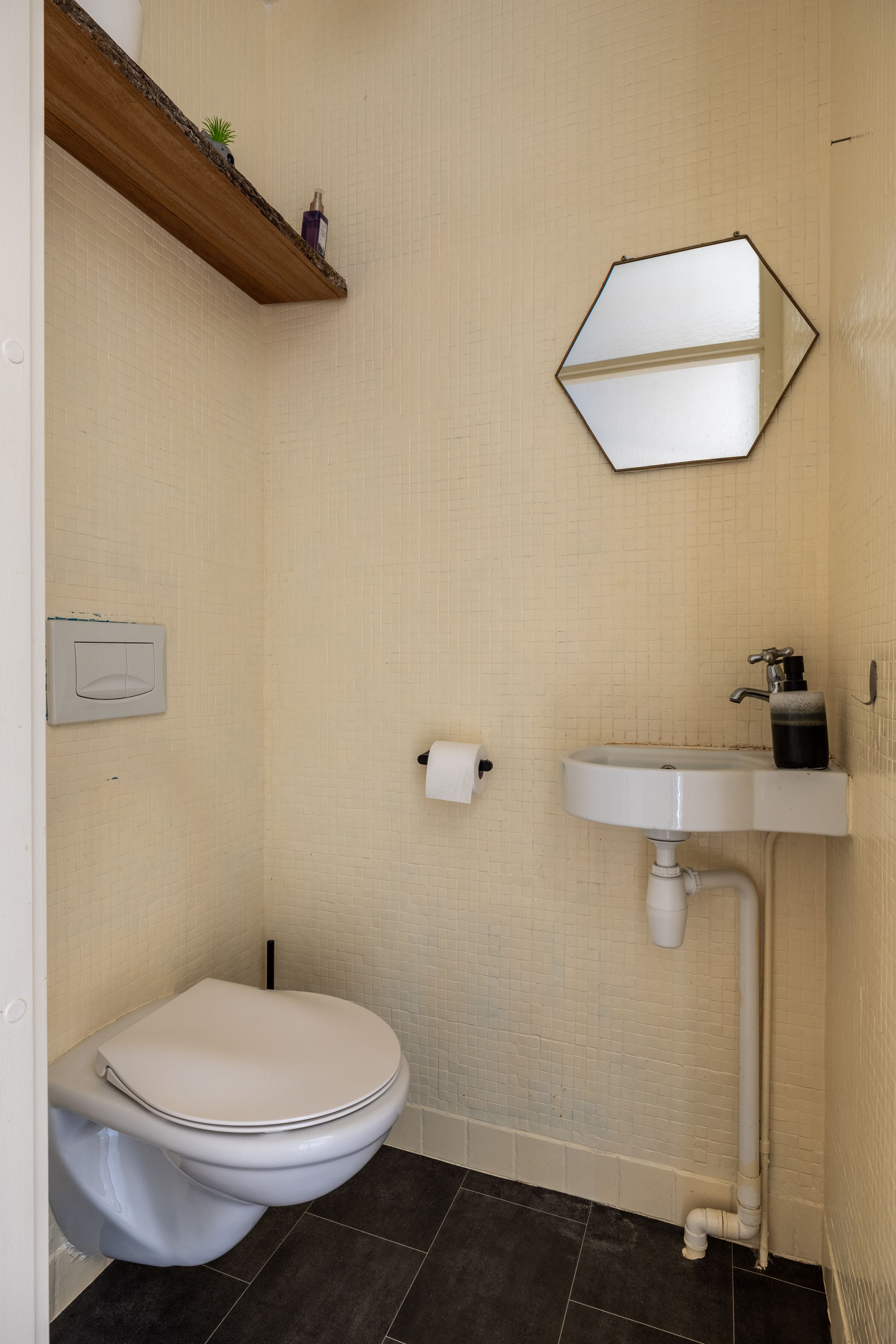 Foto 27 van Jongamastate 7