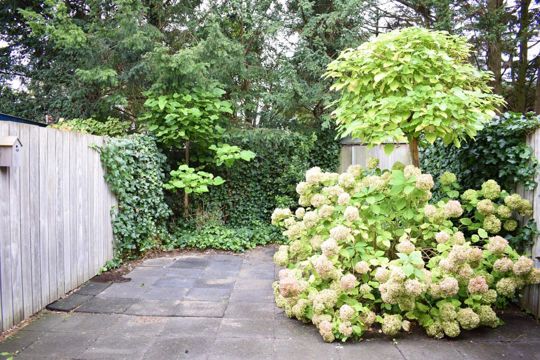 Foto 13 van Zandvoortselaan 129-C