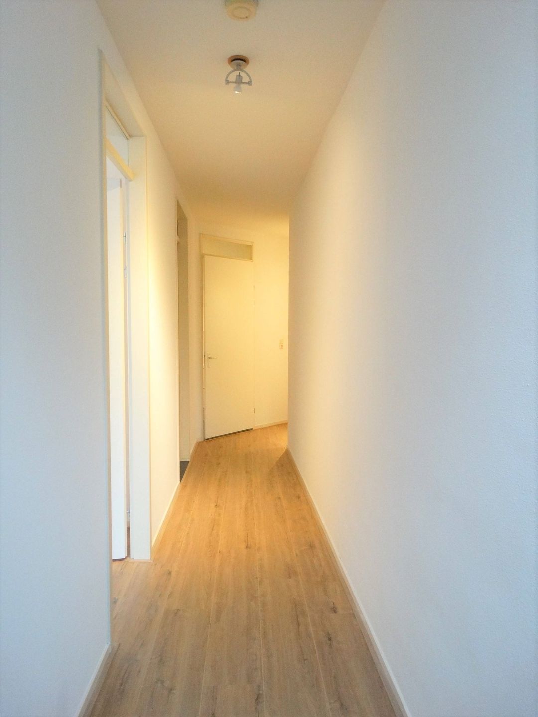 Foto 7 van Zandvoortselaan 129-C