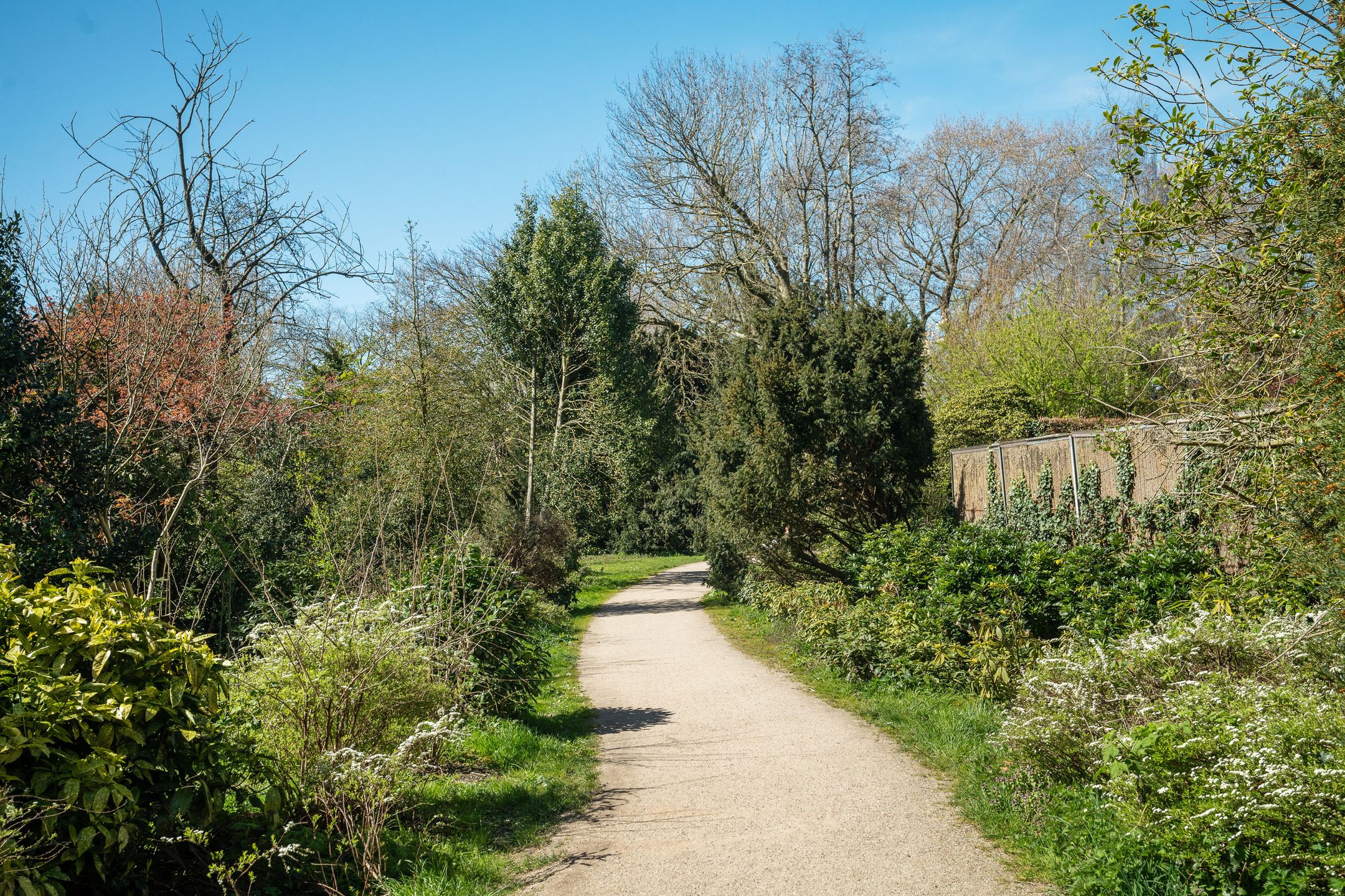 Foto 45 van Eendrachtstraat 8-2