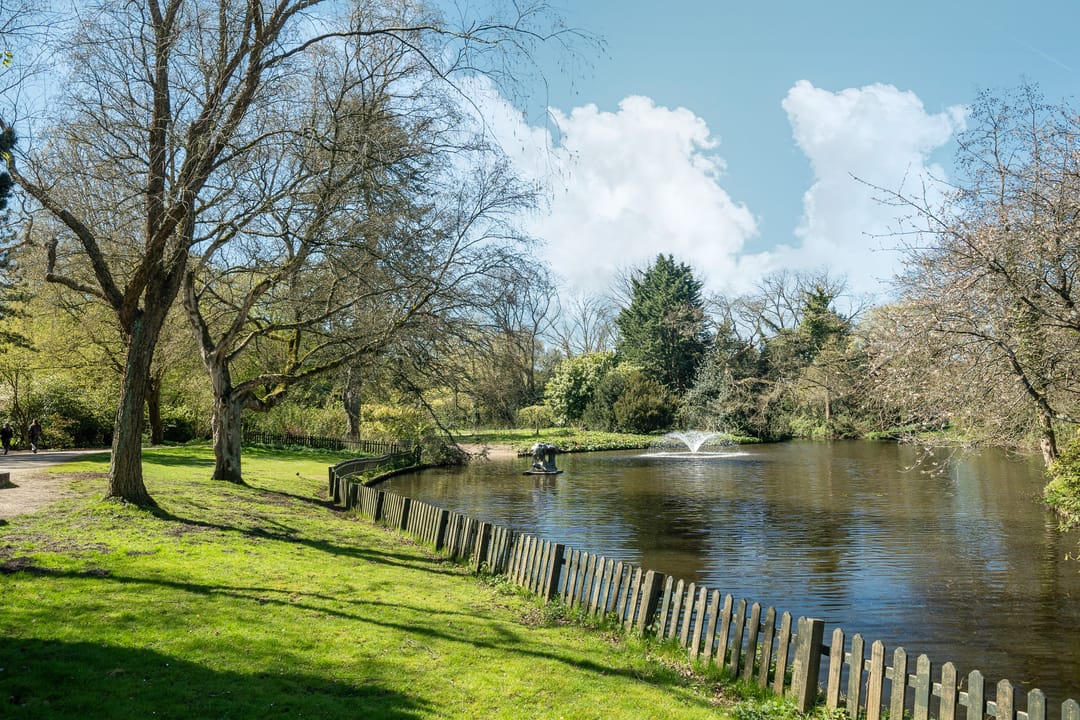 Foto 46 van Eendrachtstraat 8-2