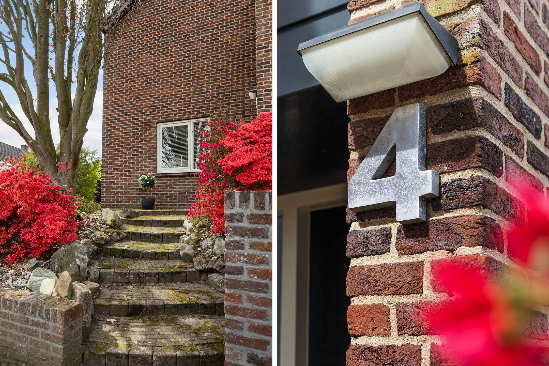 Foto 6 van Treverilaan 4