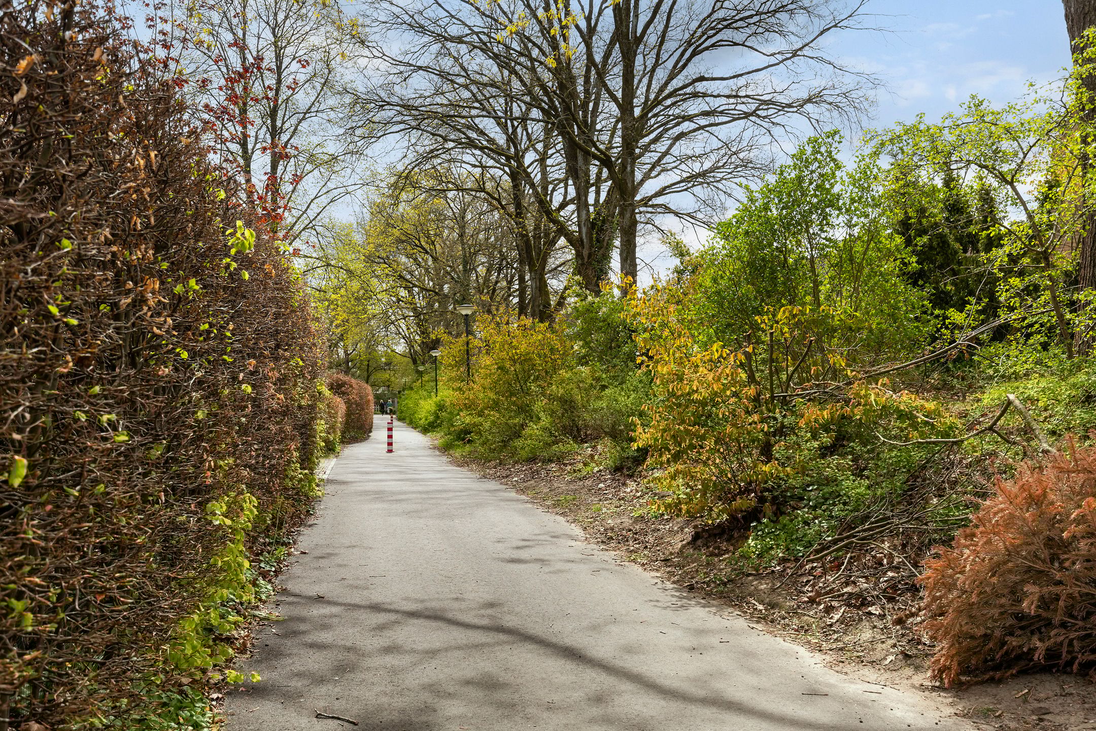 Foto 63 van Treverilaan 4