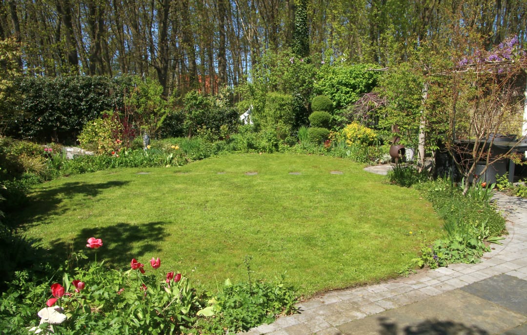 Foto 37 van Veenmos 10