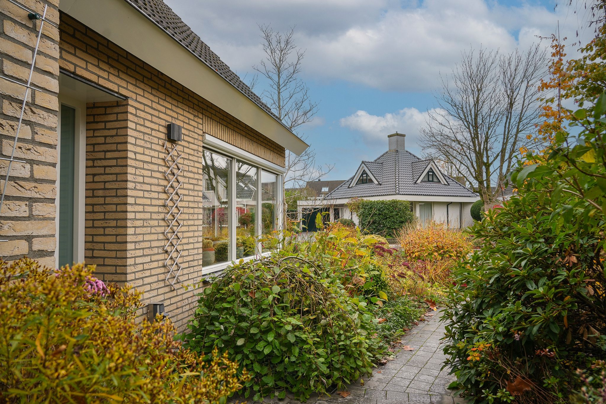 Foto 39 van Veenmos 10