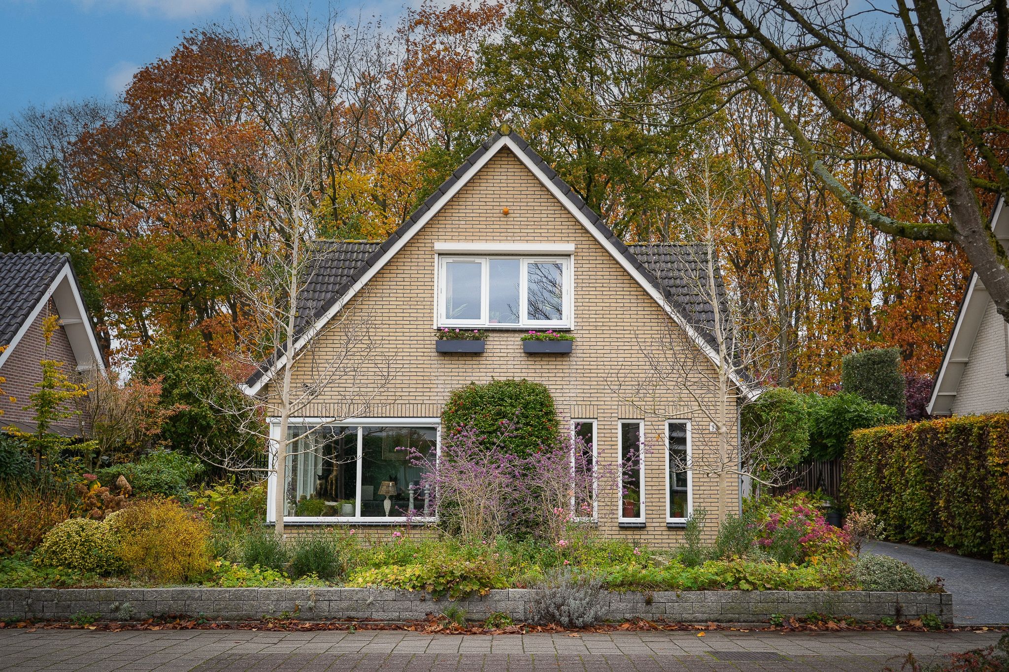 Foto 6 van Veenmos 10