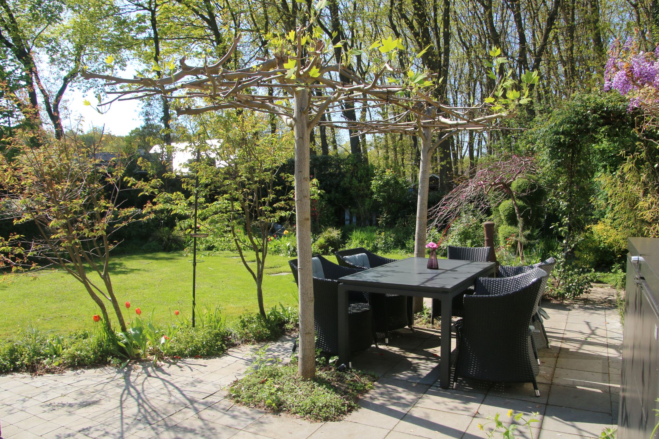 Foto 33 van Veenmos 10