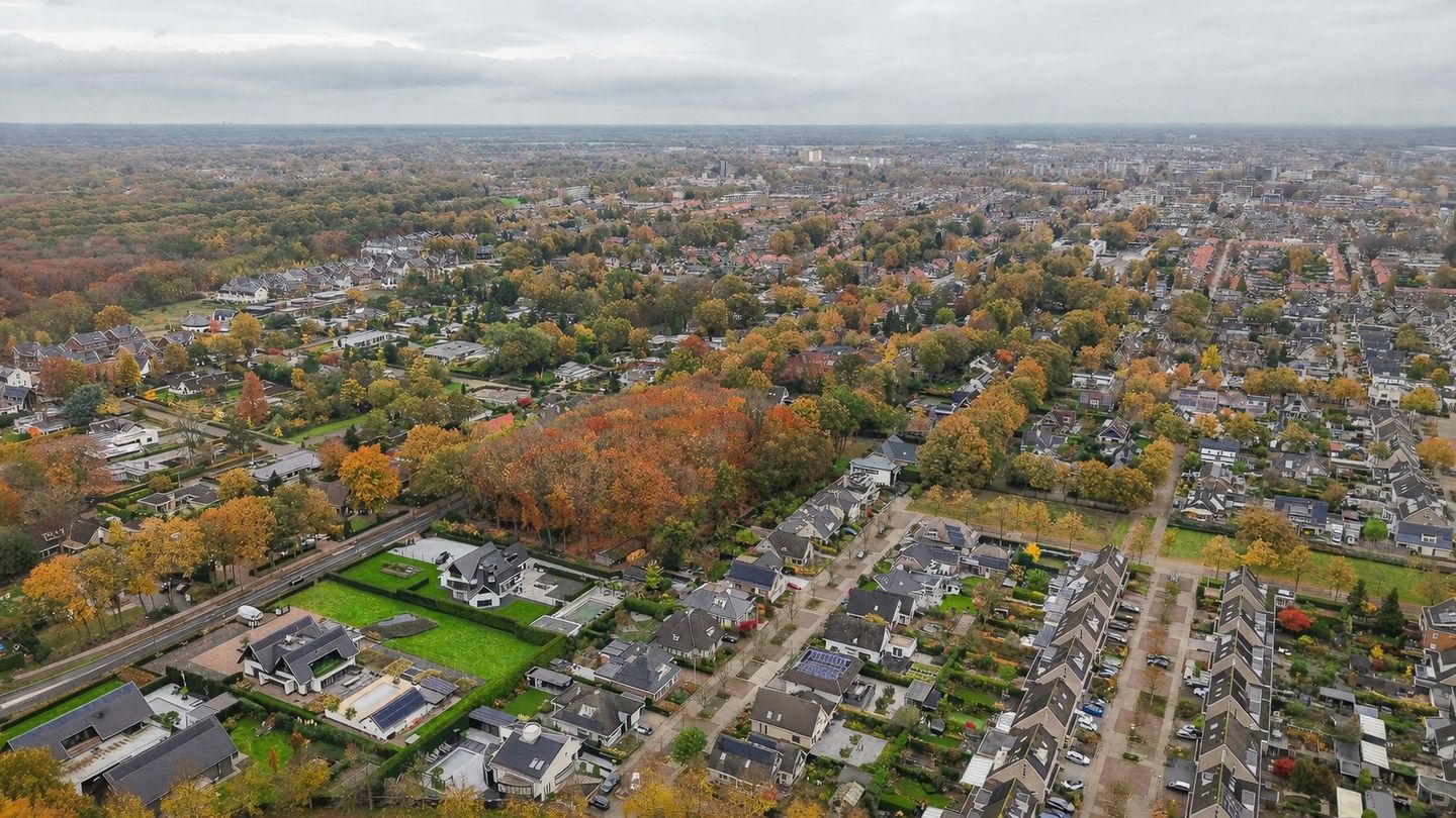 Foto 44 van Veenmos 10