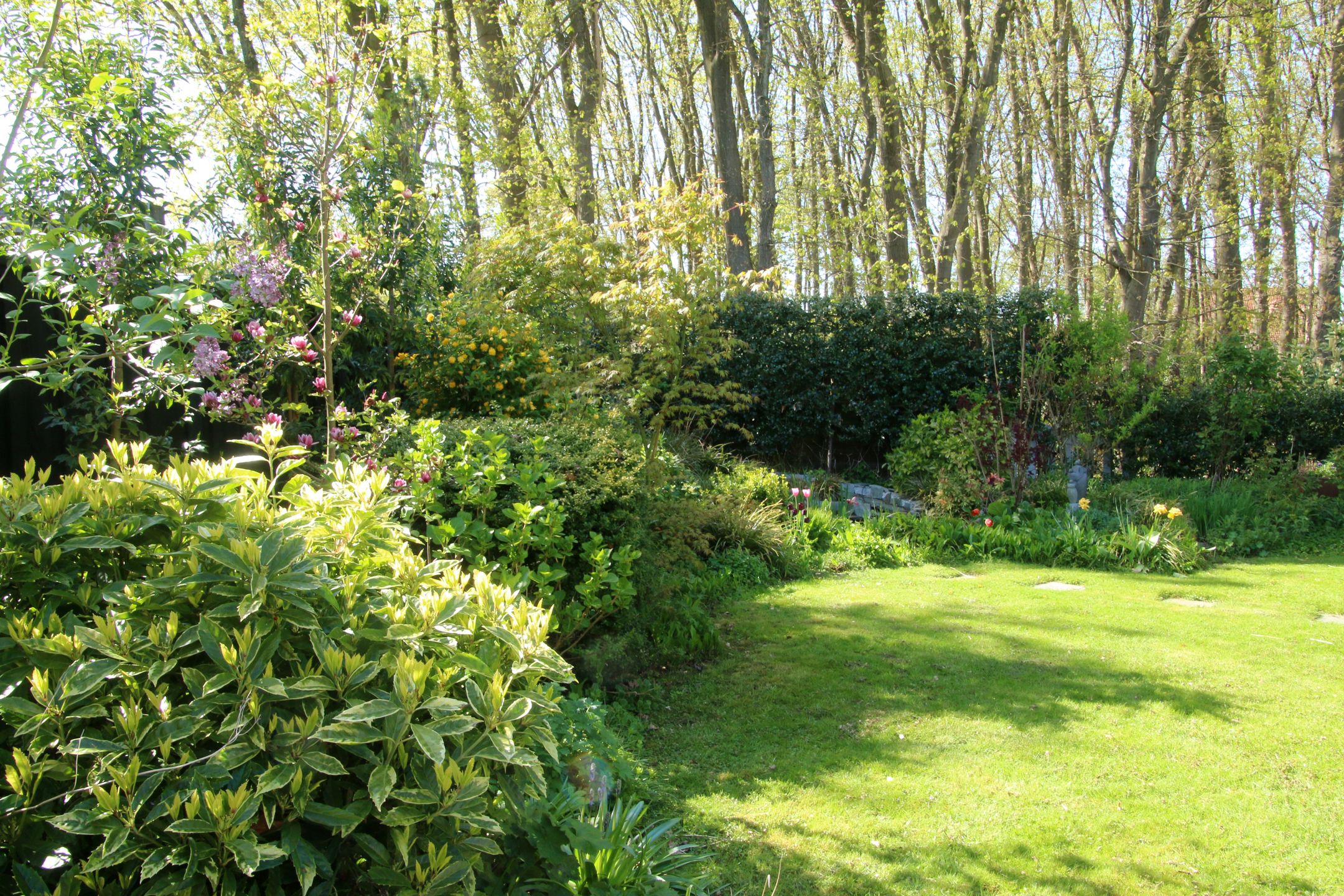 Foto 36 van Veenmos 10