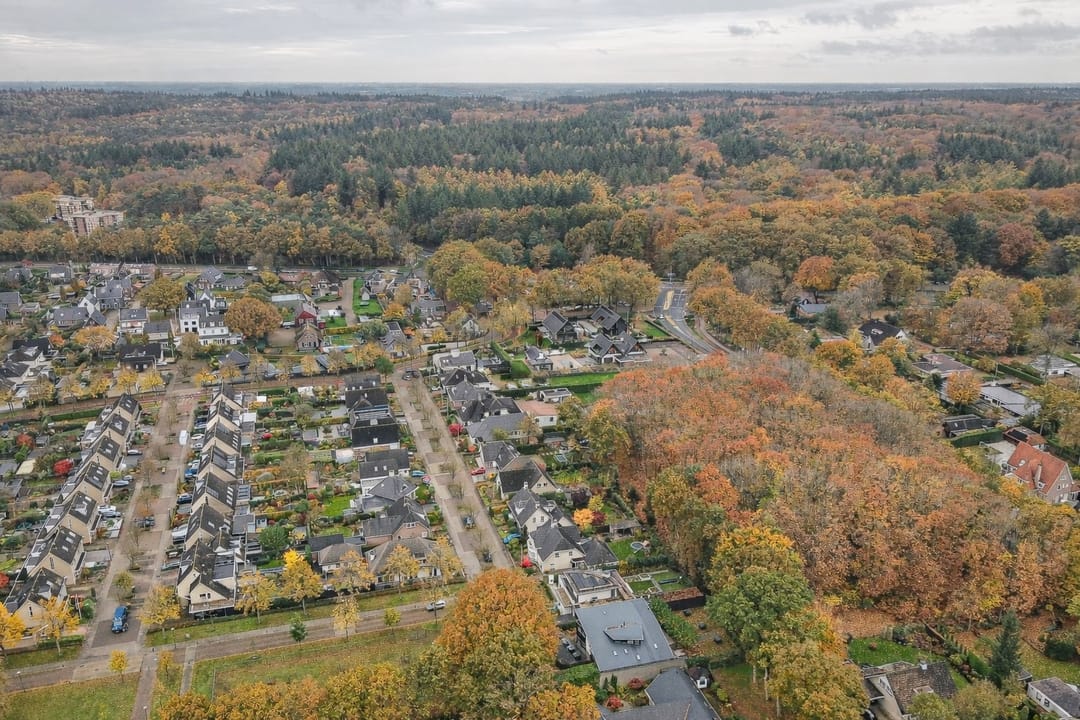 Foto 43 van Veenmos 10